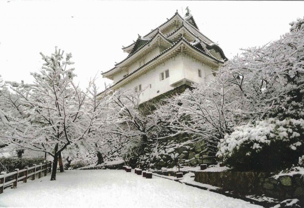 Wakayama Castle  Japan