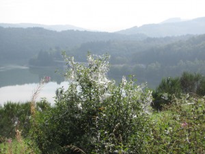 Lultzhausen Skulpturpfad(Path of scultpures)