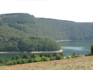 Lultzhausen Skulpturpfad(Path of scultpures)