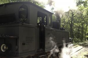 Train 1900