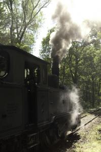 Train 1900