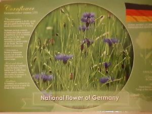 National flowers of Germany
