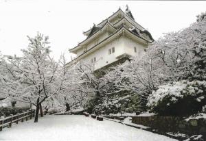 Postcards buildings and monuments
