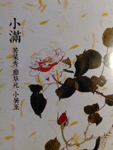 Rose - Postcard sent from Russia with the word Peace (July 2022)