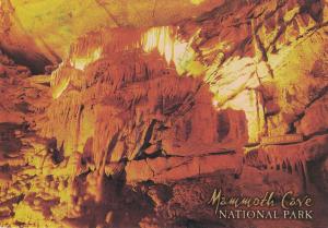 Mammoth Cave National Park - USA