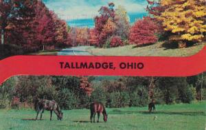 Tallmadge, Ohio (USA)